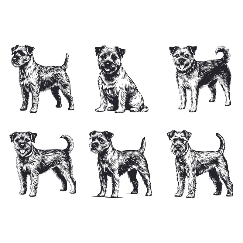 Border Terrier Dog Svg Bundle 2