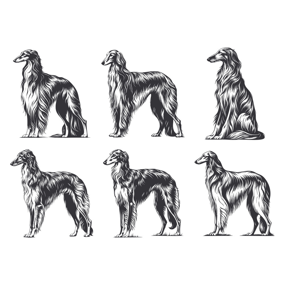 Borzoi Dog Svg Bundle 2