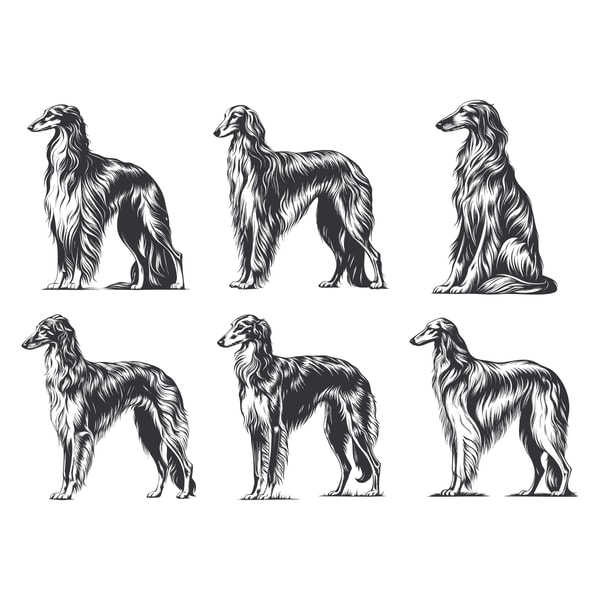 Borzoi Dog Svg Bundle 2