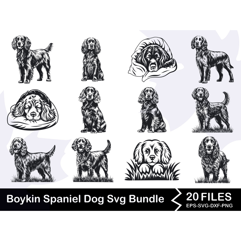 Boykin Spaniel Dog Svg Bundle 0