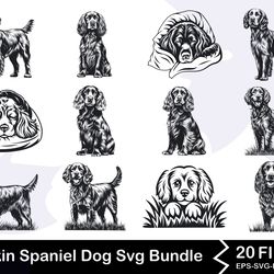 boykin spaniel dog svg bundle