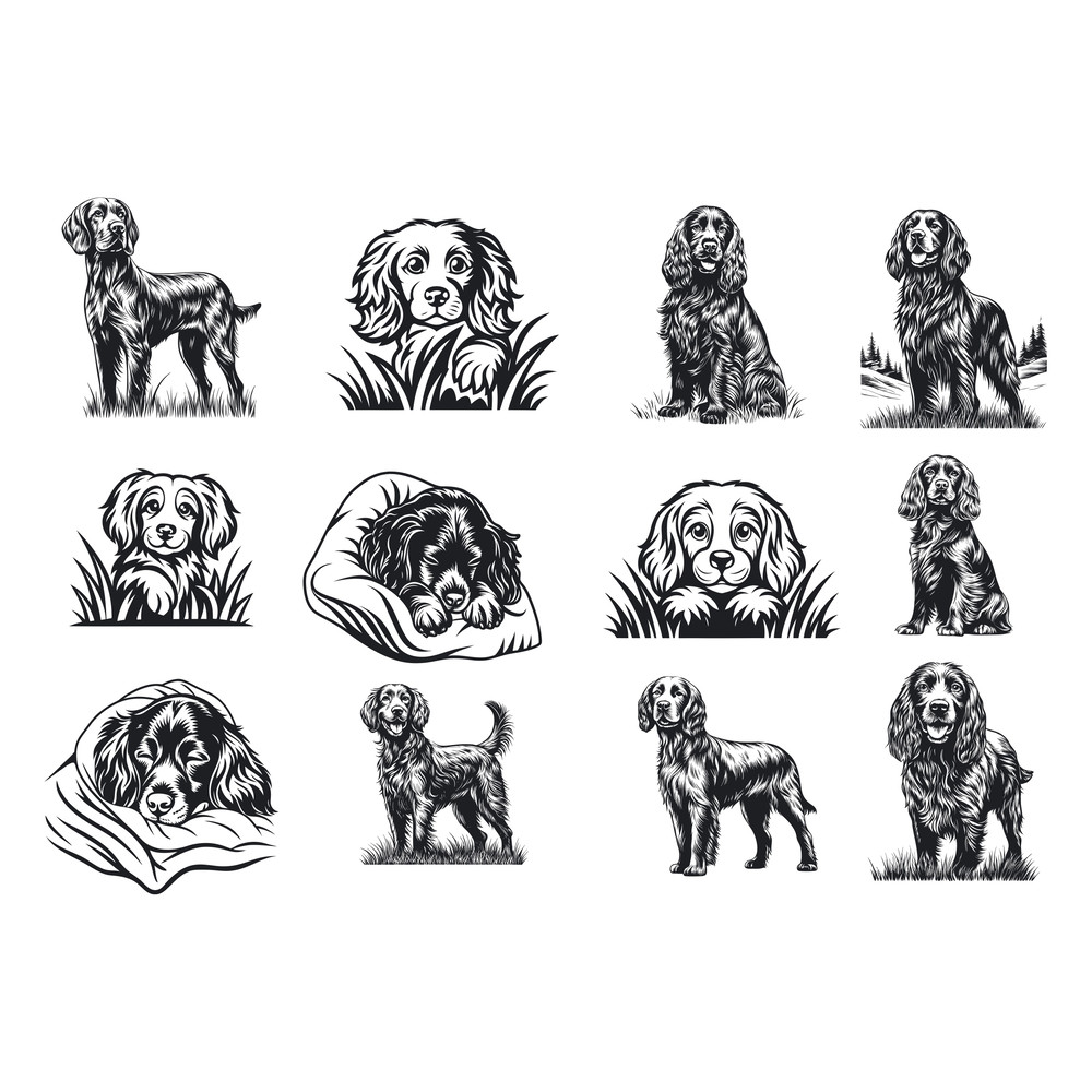 Boykin Spaniel Dog Svg Bundle 1