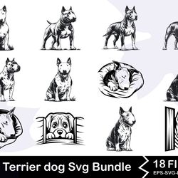bull terrier dog svg bundle