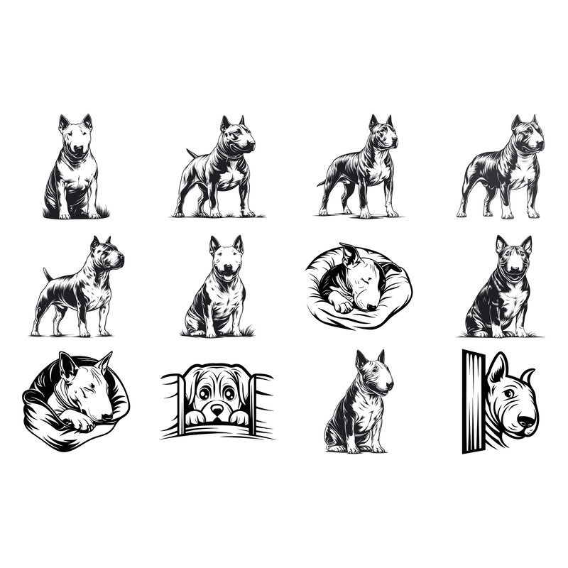 Bull Terrier Dog Svg Bundle 1