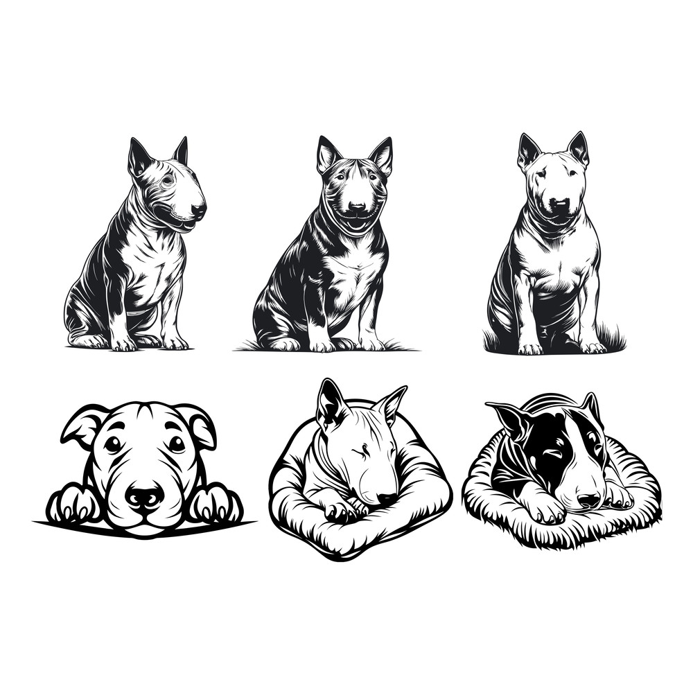 Bull Terrier Dog Svg Bundle 2