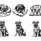Bullmastiff Dog SVG Bundle 2