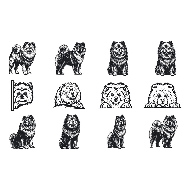Chow Chow Dog Svg Bundle 1