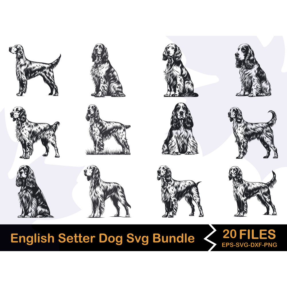 English Setter Dog Svg Bundle 0