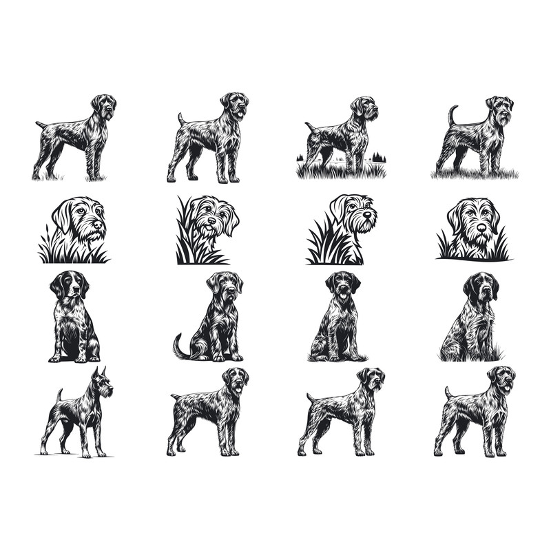 German Wirehaired Pointer Dog SVG Bundle 1