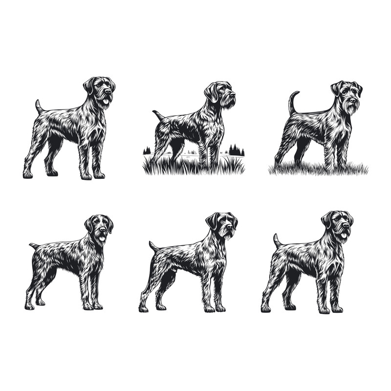German Wirehaired Pointer Dog SVG Bundle 2