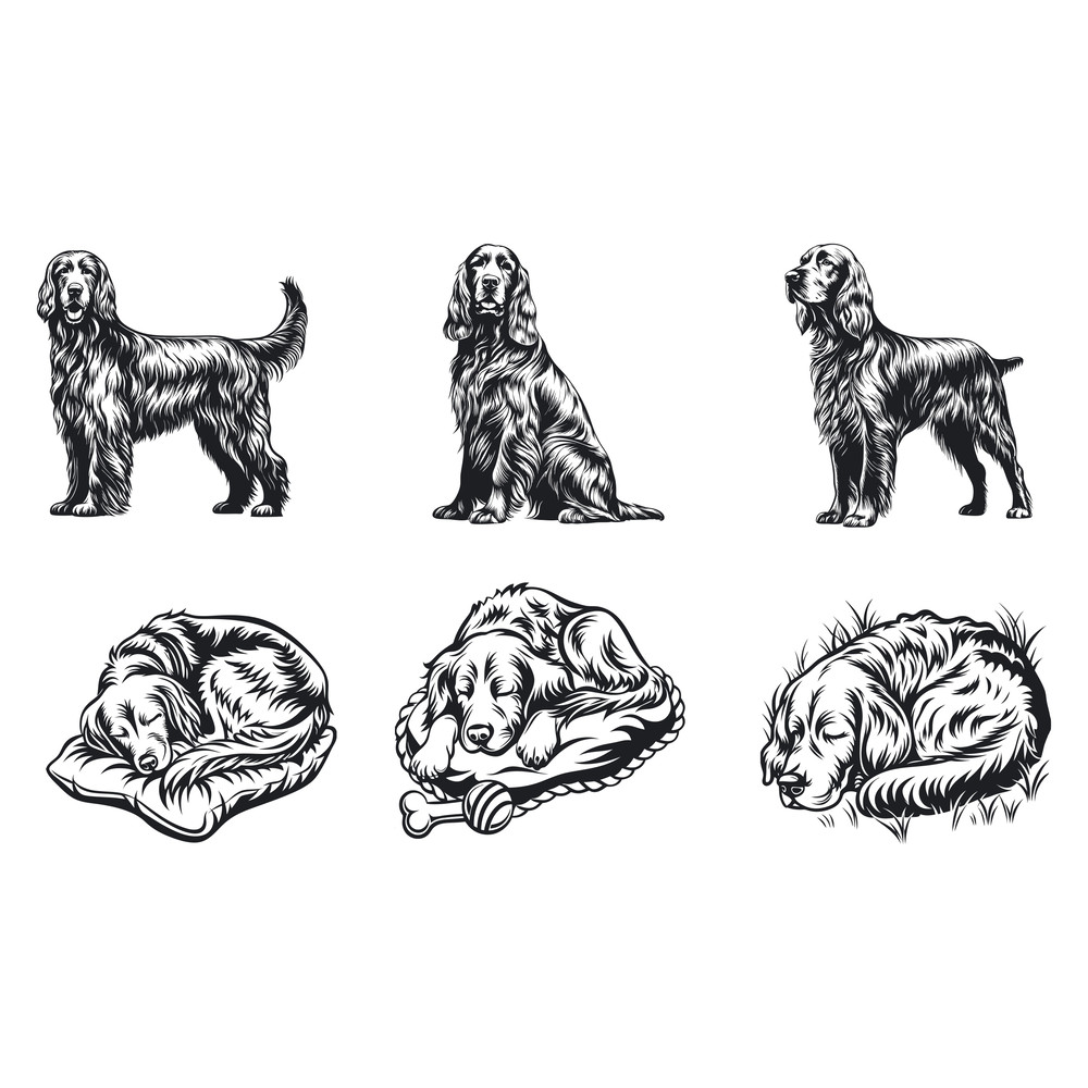Irish Setter Dog Svg Bundle 2