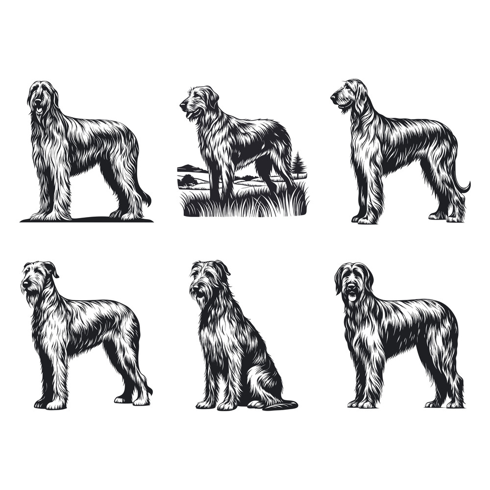 Irish Wolfhound Dog Svg Bundle 2