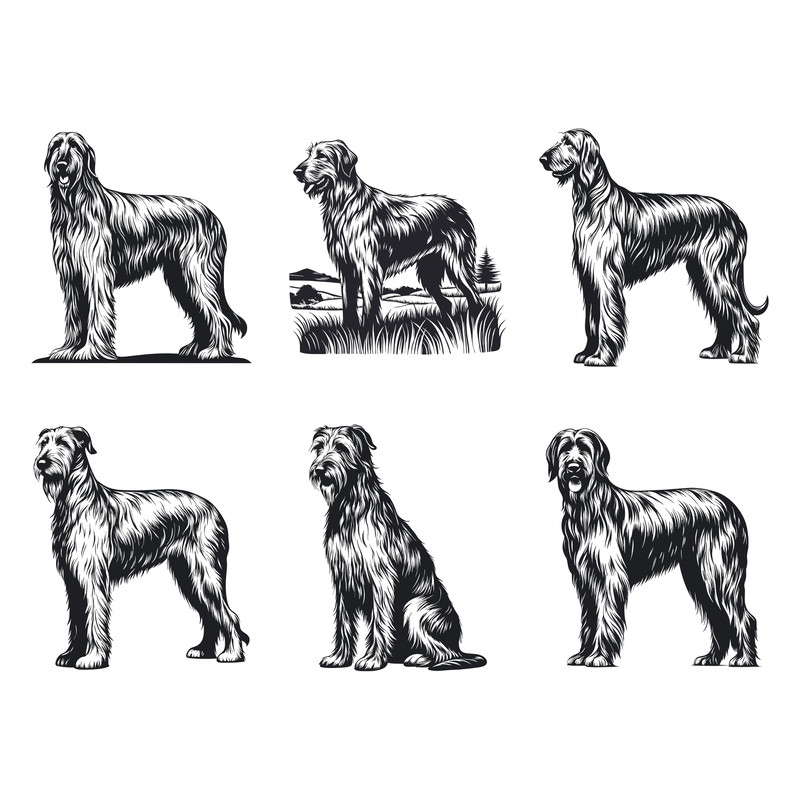 Irish Wolfhound Dog Svg Bundle 2