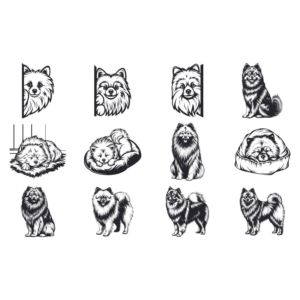Keeshond Dog Svg Bundle 1