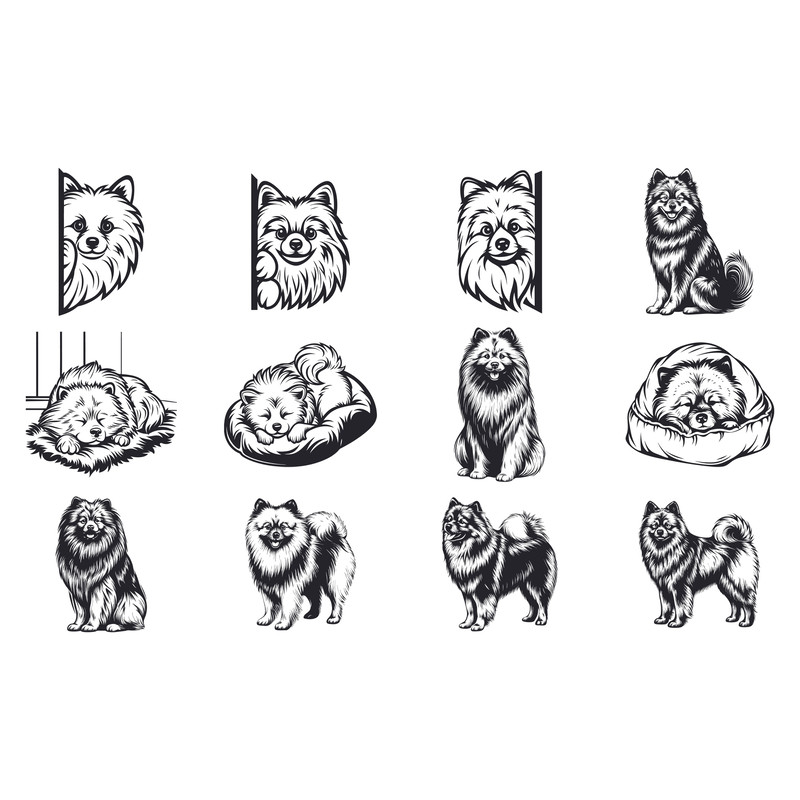 Keeshond Dog Svg Bundle 1