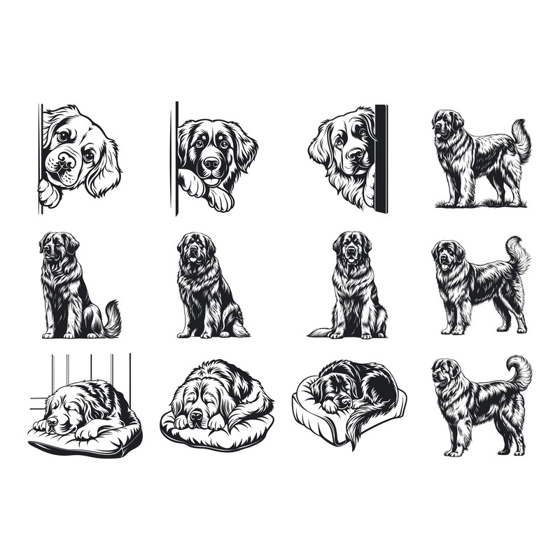 Leonberger Dog Svg Bundle 1