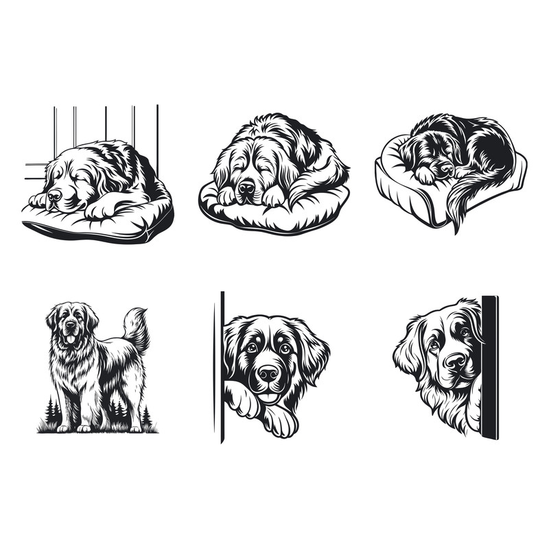 Leonberger Dog Svg Bundle 2