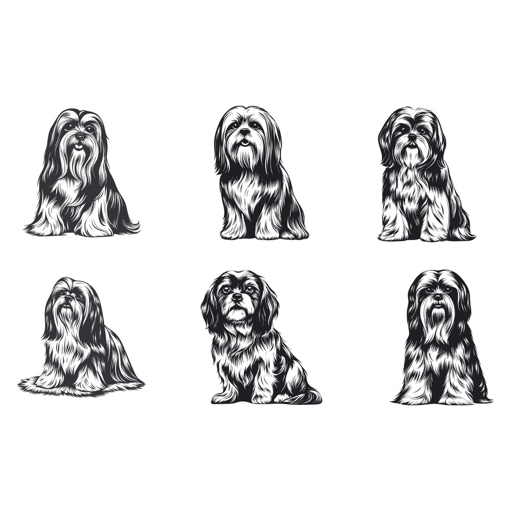 Lhasa Apso Dog Svg Bundle 2