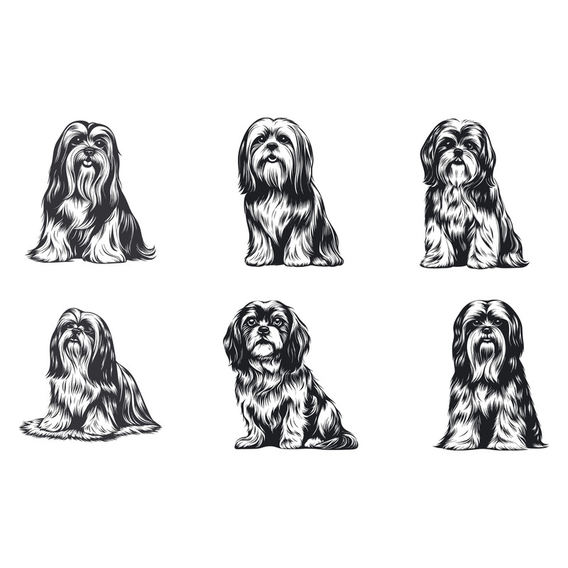 Lhasa Apso Dog Svg Bundle 2
