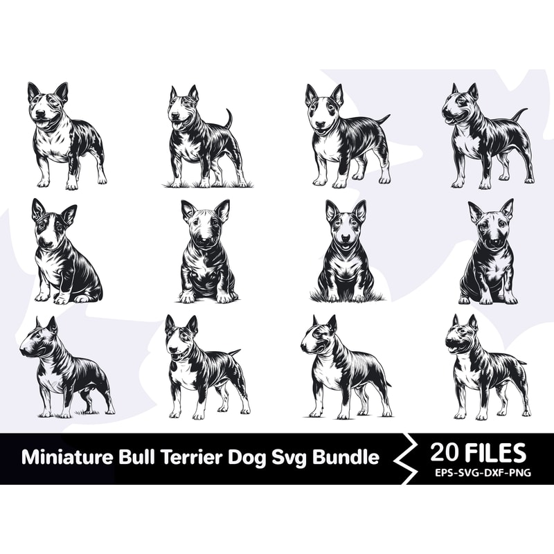 Miniature Bull Terrier Dog Svg Bundle 0