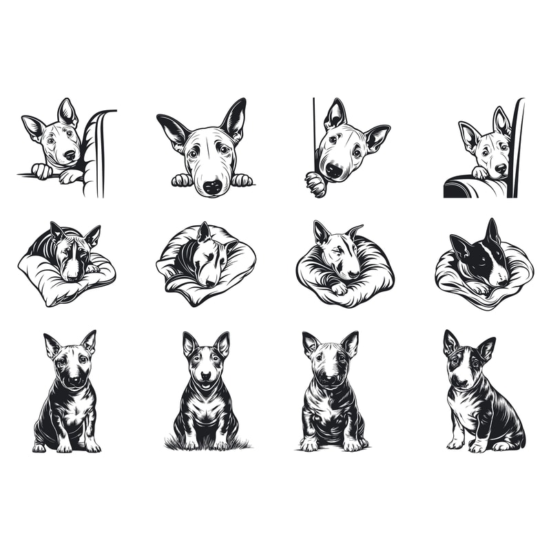 Miniature Bull Terrier Dog Svg Bundle 1