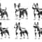 Miniature Bull Terrier Dog Svg Bundle 2