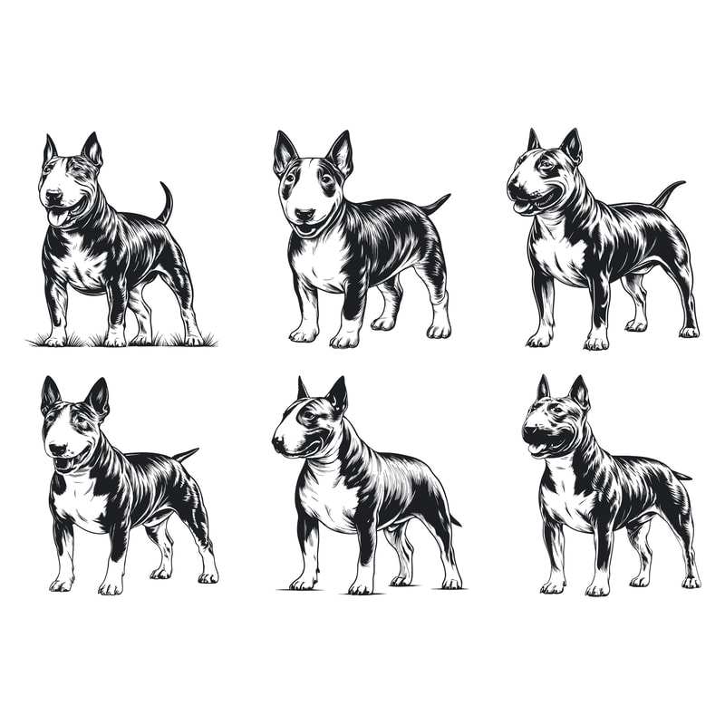 Miniature Bull Terrier Dog Svg Bundle 2