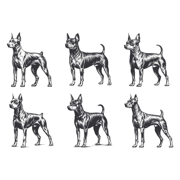 Miniature Pinscher Dog Svg Bundle 2