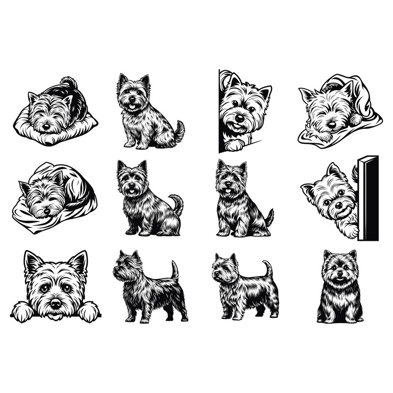 Norwich Terrier Dog Svg Bundle 1