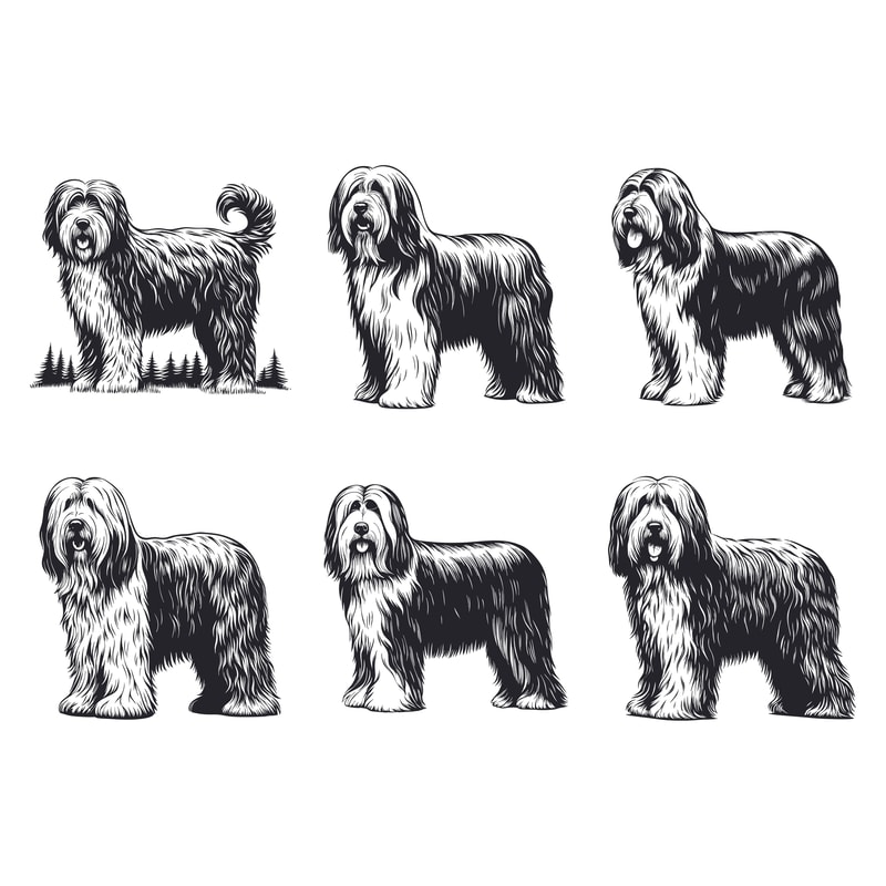 Old English Sheepdog Dog Svg Bundle 2