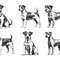 Parson Russell Terrier Dog Svg Bundle 2
