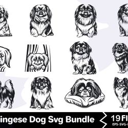 pekingese dog svg bundle