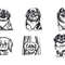 Pekingese Dog Svg Bundle 2