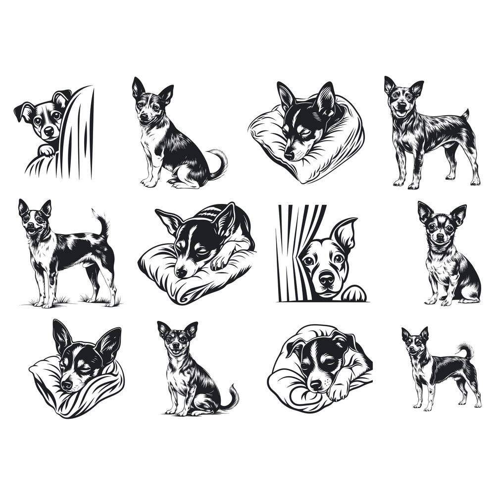 Rat Terrier Dog Svg Bundle 1