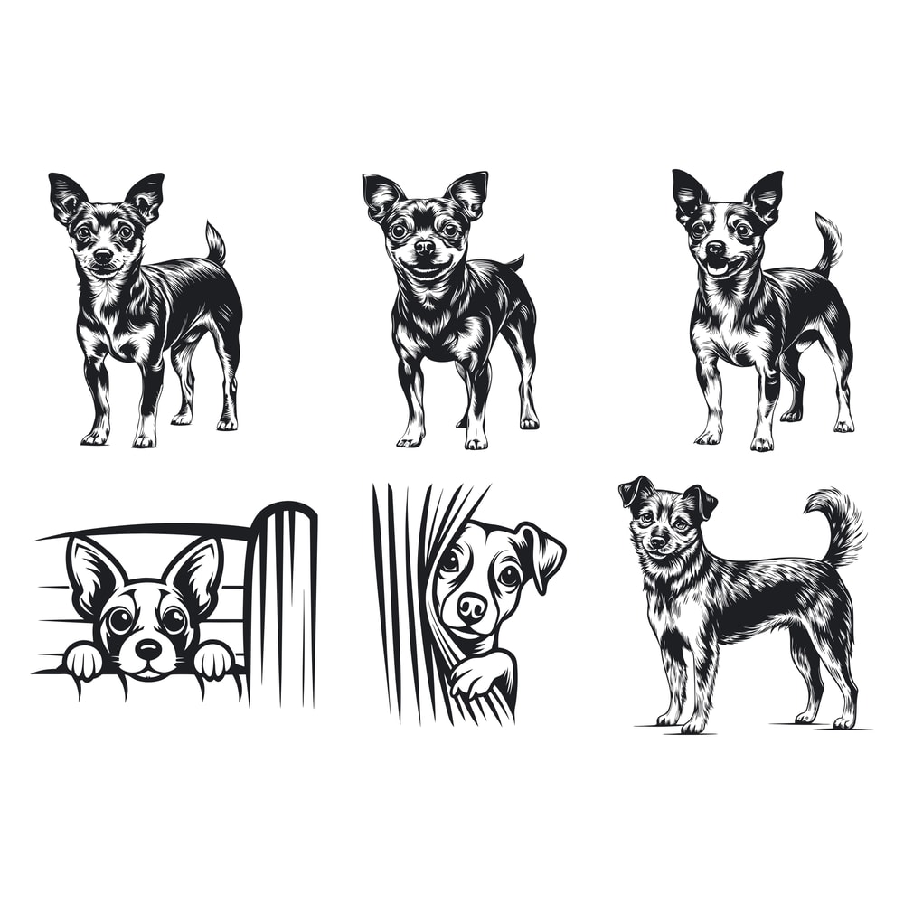 Rat Terrier Dog Svg Bundle 2