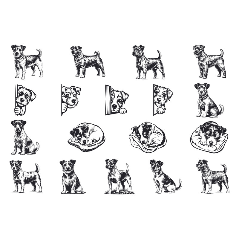 Russell Terrier Dog Svg Bundle 1