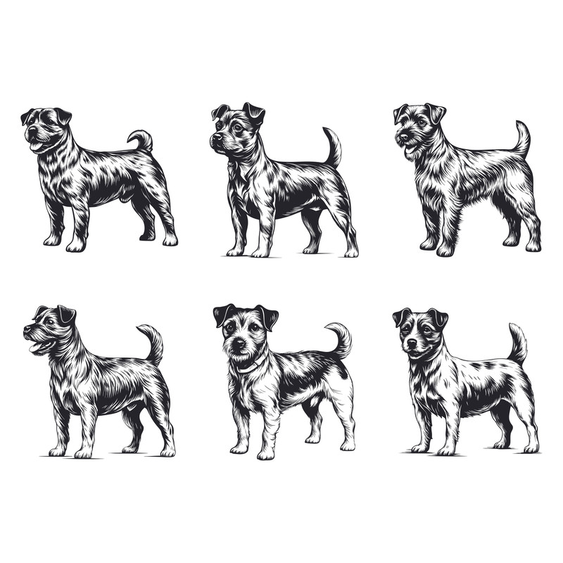 Russell Terrier Dog Svg Bundle 2