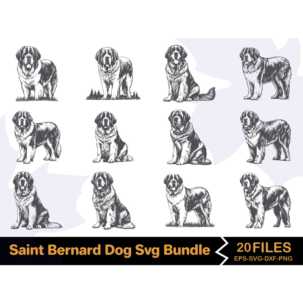 Saint Bernard Dog Svg Bundle 0