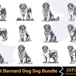 saint bernard dog svg bundle