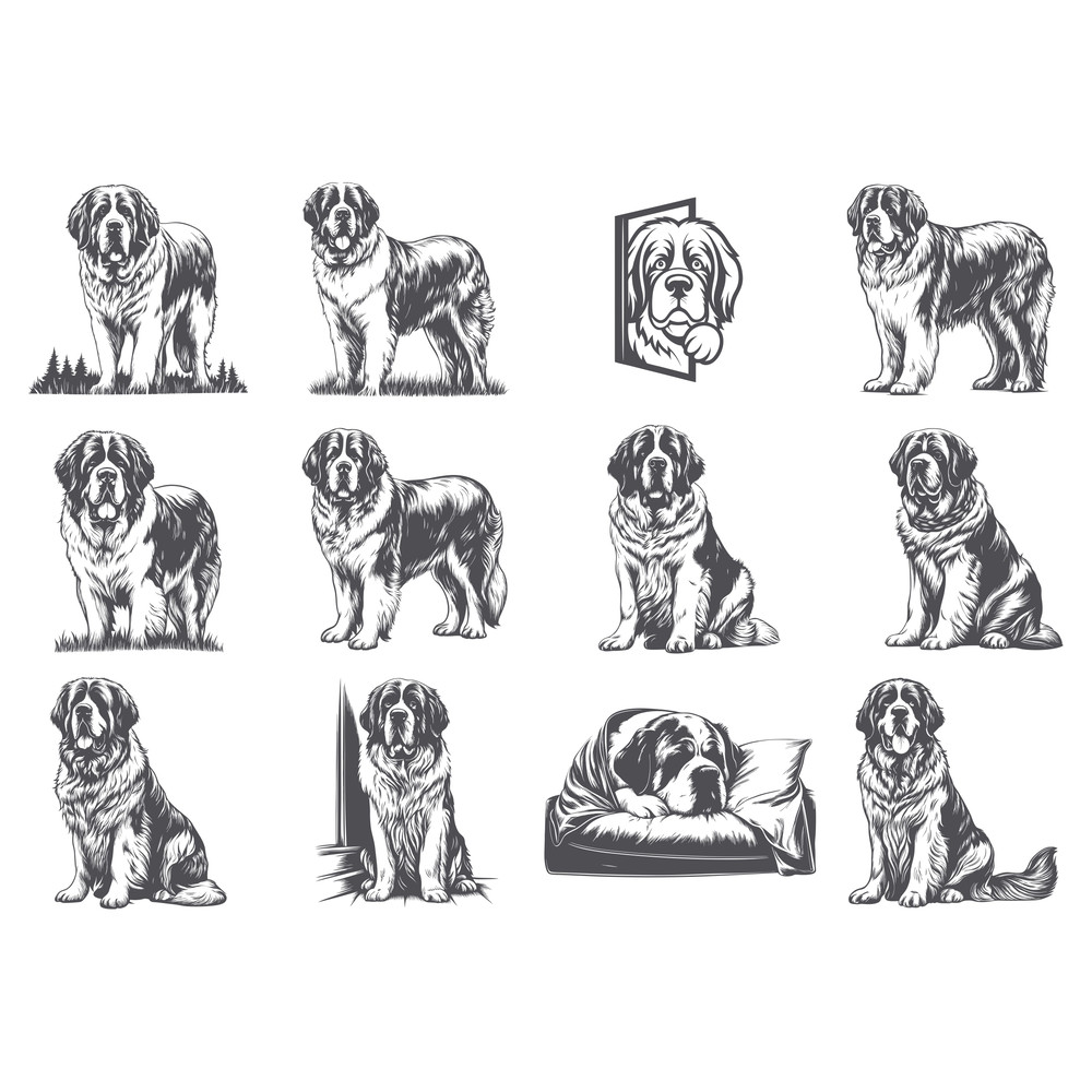 Saint Bernard Dog Svg Bundle 1