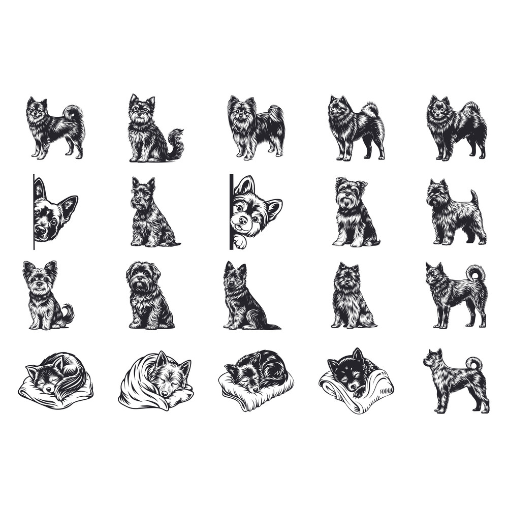 Schipperke Dog Svg Bundle 1