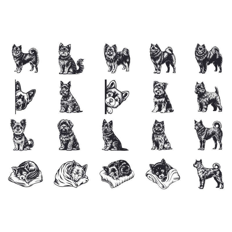 Schipperke Dog Svg Bundle 1