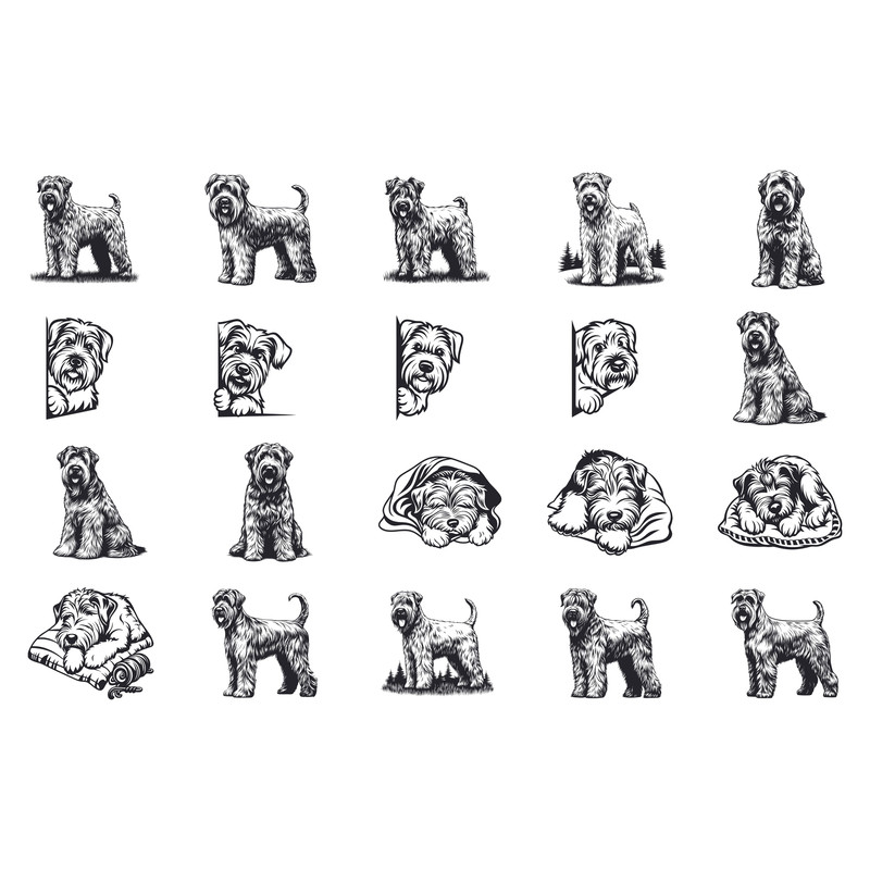 Soft Coated Wheaten Terrier Dog Svg Bundle 1