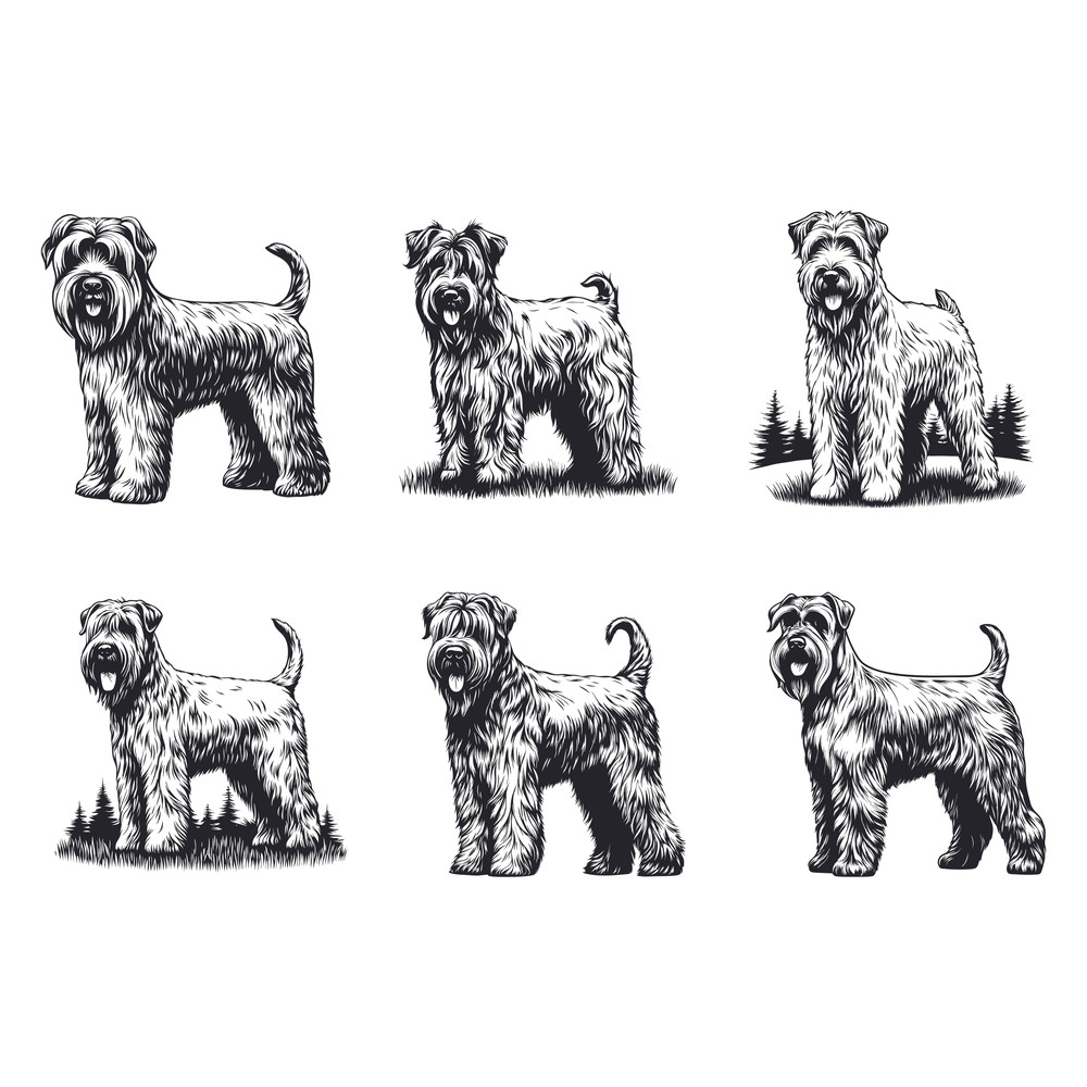 Soft Coated Wheaten Terrier Dog Svg Bundle 2