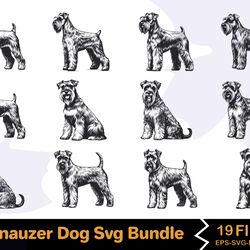 standard schnauzer dog svg bundle
