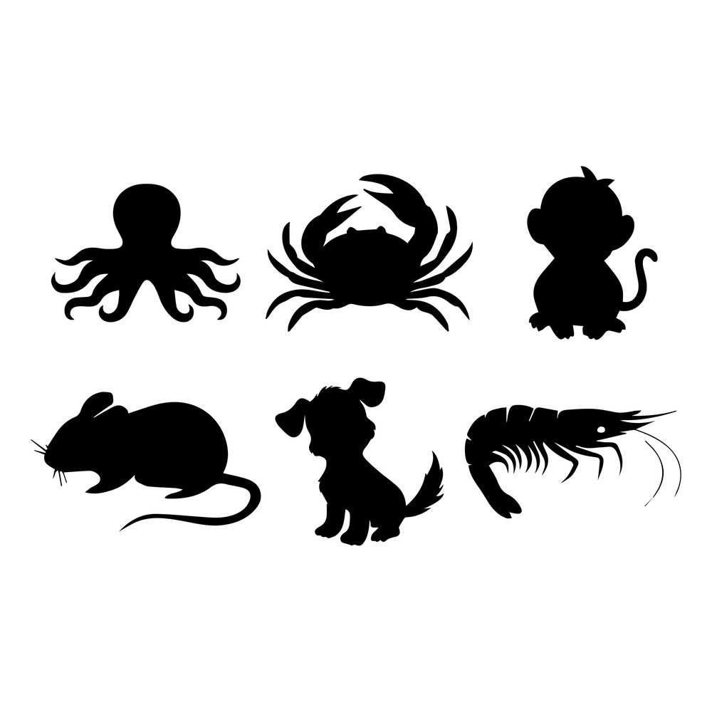 Animal Silhouette SVG Bundle 2