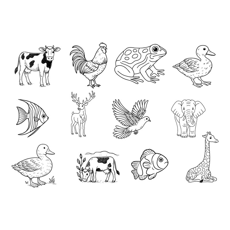 Animal Svg Bundle 5 1