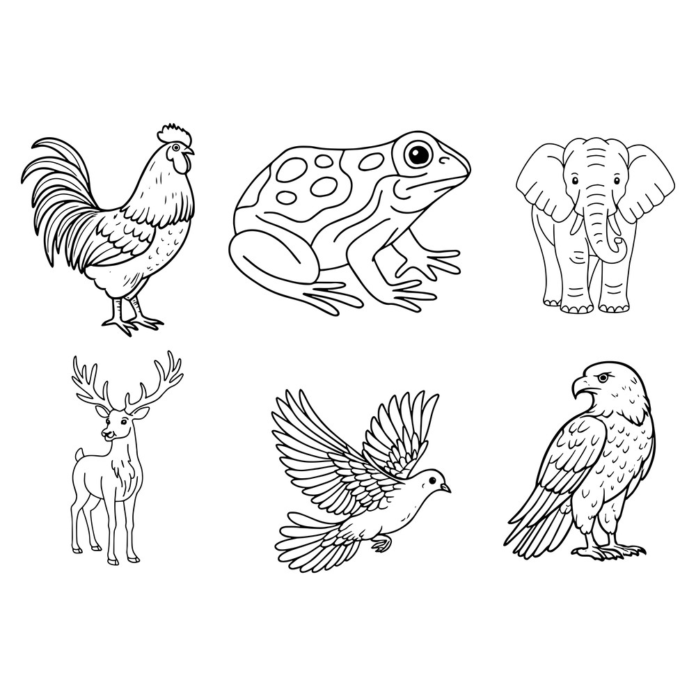 Animal Svg Bundle 5 2