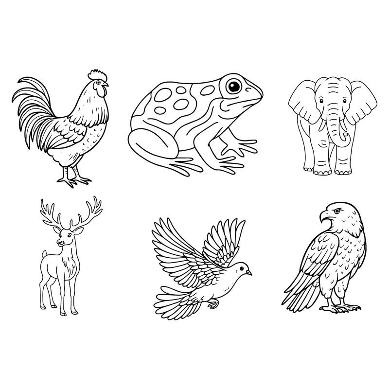 Animal Svg Bundle 5 2