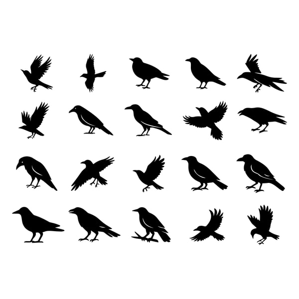 Crow SVG Bundle 1 1
